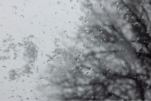 Погода на понеділок, 30 листопада: осінь втекла передчасно