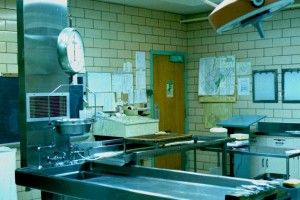Водій випадково знайшов біля траси відрізану людську голову