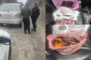 На трасі на Рівненщині зупинили «Lexus» із майже 7,5 кілограма бурштину