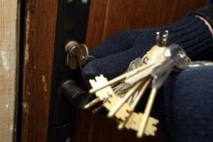 У Луцьку злапали на гарячому двох «ведмежатників»