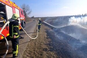Дитячі пустощі та необережне куріння: на Волині за добу вигоріло понад 14 гектарів екосистем