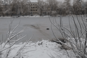На Рівненщині під лід на ставку провалився чоловік (Фото)