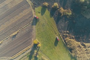 Півгектара очерету згоріло на Рівненщині