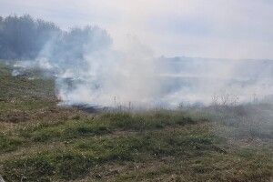 На Волині бійці ДСНС виявили палія