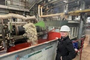 Цукристість цьогоріч вища: показали, як працює Гнідавський цукровий завод (Фото)