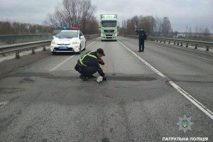 В ямах на трасі «Київ-Чоп» скоро можна буде ховатися