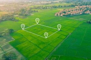 На Волині майже триста гектарів землі, якою користувався університет, повернули державі