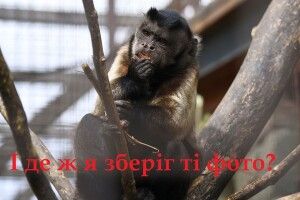 Колектив Луцького зоопарку просить своїх відвідувачів приносити архівні і сучасні фото із зображенням на його території