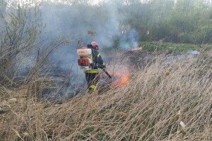 Палало сміття та суха трава: волинські вогнеборці приборкали дві пожежі