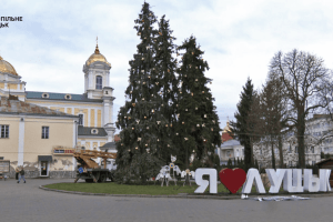 Ялини на Театральному майдані у Луцьку мають радувати око