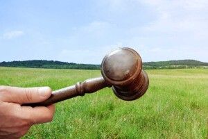 Манікюрниця з Волині допомогла закарпатській фірмі виграти 70 земельних аукціонів