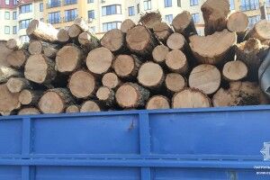 У Луцьку затримали водія вантажівки, який незаконно перевозив деревину  