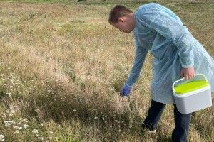 На Волині завершили осінню імунізацію лісових звірів