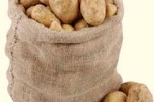 НА КАРТОПЛІ ЦЬОГО РОКУ НЕ ЗАРОБИШ?