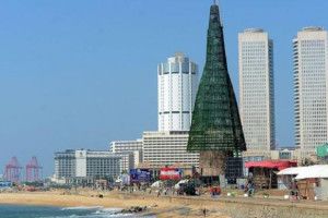 Ця ялинка увійде у книгу Рекордів Гіннесса