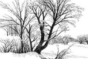 ПОГОДА: початок лютого не буде лютим