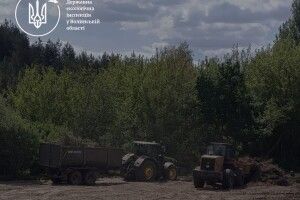 На Волині виявлено незаконну порубку лісу