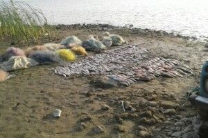 «Царська риболовля» – браконьєр заплатить майже 100 тисяч (фото)