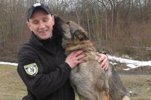 Як навчають собак до служби в поліції Рівного
