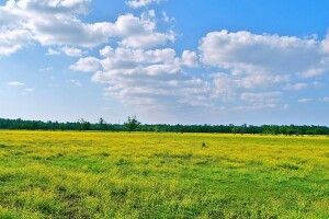 Місцеві бюджети Волині отримали понад 100 мільйонів гривень плати за землю