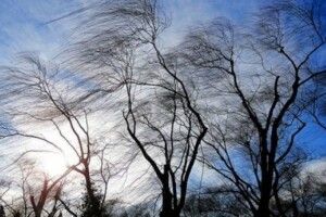 Погода на вівторок, 8 грудня: трохи морозу і поривчастий південно-східний вітер