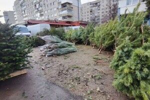 У Луцьку перевіряли ялинкові ринки: який результат