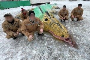 Серед волинських ув'язнених організували конкурс снігових фігур (Фото)