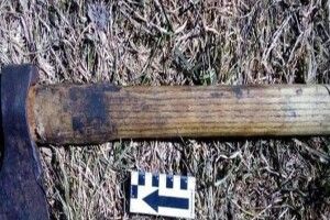 Судитимуть волинянина, який бігав за поліцейськими з сокирою 