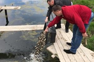 На каналах луцького парку – найбільше зарибнення з радянських часів