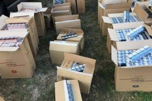 На Волині вилучено 37 ящиків контрафактних цигарок 