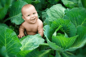 На Ратнівщині народилися Єлисей та Мелітина