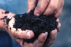 МИ ЩОДНЯ ВТРАЧАЄМО  ГОЛОВНЕ БАГАТСТВО КРАЇНИ