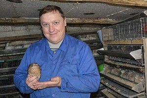 «Заробляю на життя перепілками»