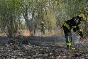 Луцькі рятувальники ліквідували пожежу на Гнідавському болоті 