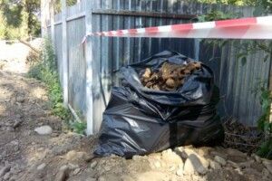 В Івано-Франківську виявили масове захоронення жертв політрепресій – ймовірно, там є останки жінок і дітей