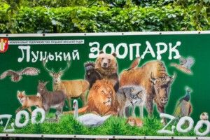 «Привіз на велосипеді 50 гривень»: як Луцький зоопарк виживає у карантин