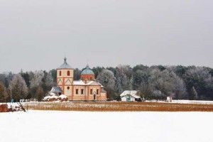 Самоволя здаватися не збирається