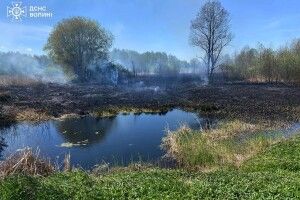 На Волині підпалюють сухостій, а загоряються і будинки