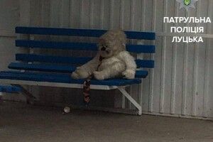 Підозріла мавпа з краваткою поставила на вуха пів-Луцька (фото)