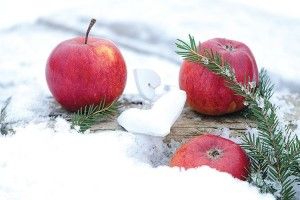 Той Сніг мав смак  мерзлих яблук із сусіднього саду...