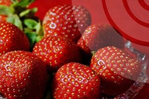 Яку погоду прогнозують на Волині найближчої доби