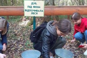 На Ковельщині подбали, щоб «Лісова пісня» мала нове життя (Фото)