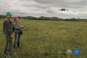 Рідкісна пташка під загрозою: на Волині шукають шляхи збереження очеретянки прудкої