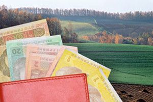ЦИВІЛІЗОВАНИЙ БІЗНЕС — У КОЖНЕ СЕЛО*