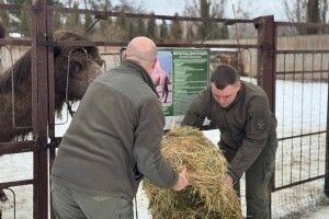 Луцький зоопарк отримав рятівний вантаж від лісівників (Відео)