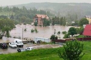 На Львівщині рятували людей у підтопленому селищі