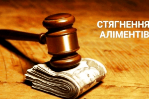 Стягнення аліментів від професійних юристів сімейного права