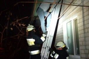 Рятувальники зняли людей з вікна другого поверху, щоб врятувати від їх власного собаки