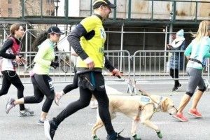 Нью-Йоркський напівмарафон пробіг незрячий чоловік – поруч були чотирилапі розумахи-поводирі