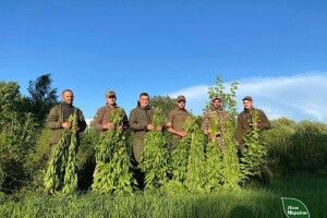 Військові долучились до мисливців і заготовили 8 тисяч кормових віників для тварин